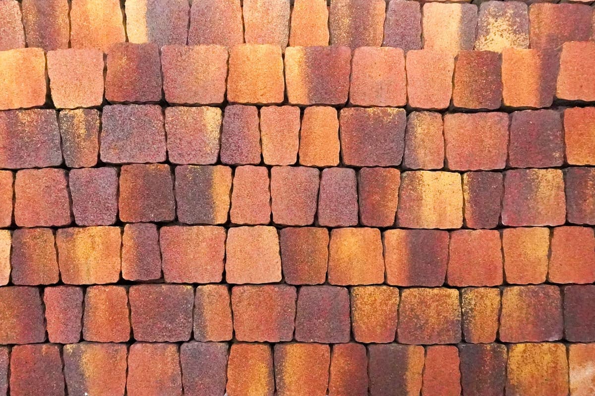 Орион Красный клён